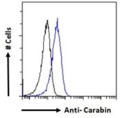 Flow Cytometry: carabin Antibody [NBP2-76349]
