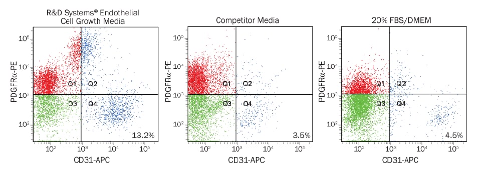 Improved Yield of Murine Lung Epithelial Cells using Endothelial Cell Growth Media_CCM027