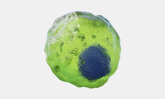 R&D Systems monocyte