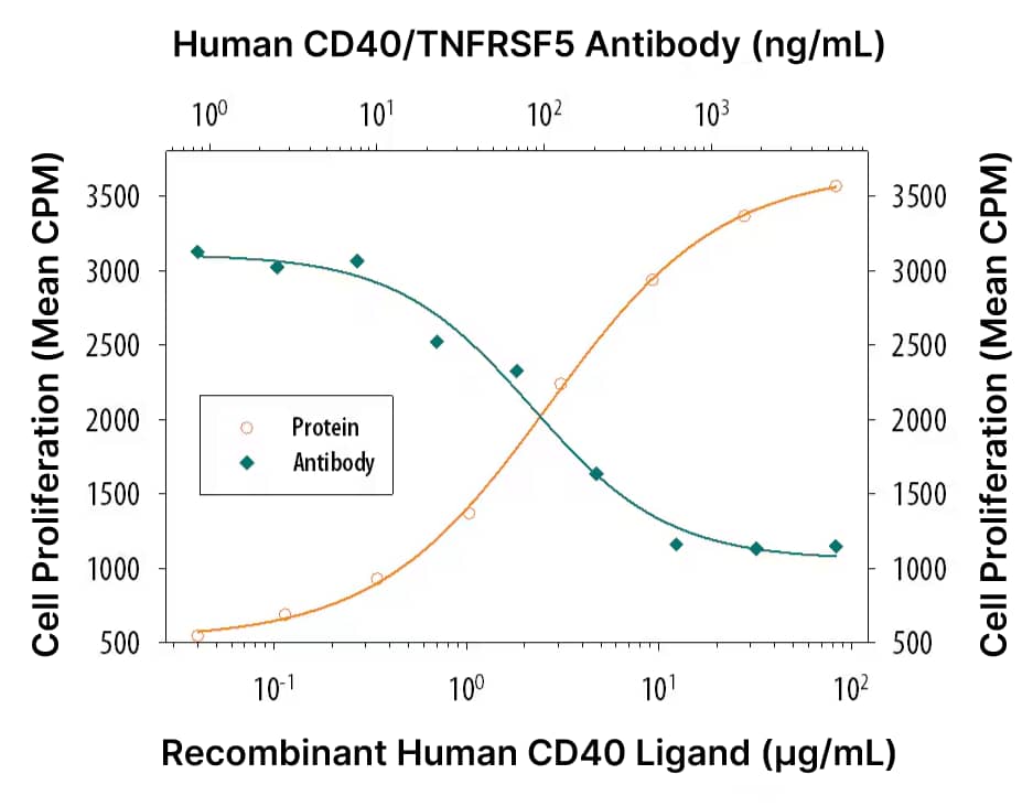 Line graph showing dose dependent CD40 ligand-induced human B cell proliferation and neutralization with an anti-human CD40 antibody.