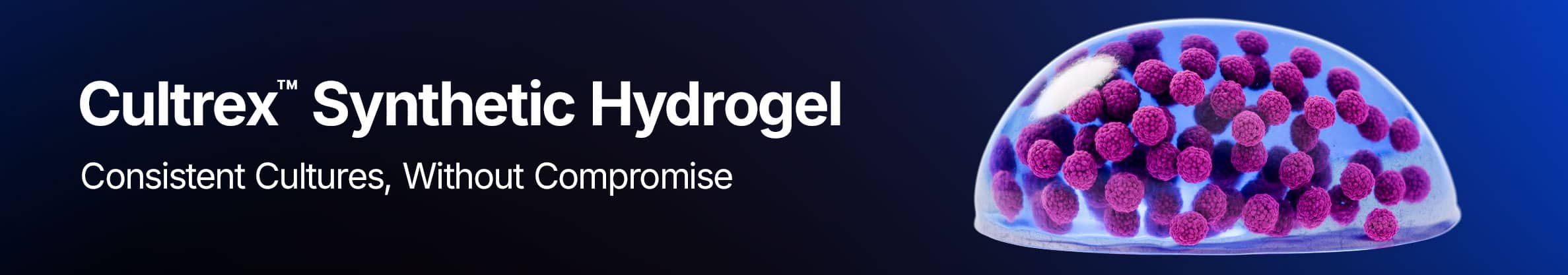 Cultrex Synthetic Hydrogel banner featuring a 3D organoid structure, highlighting consistent, animal-free matrix for reliable 3D cell culture and organoid workflows.