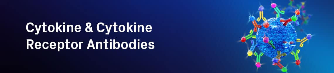 primary conjugated antibodies