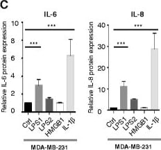 Detection of Human Human IL-6 Quantikine ELISA Kit by PCR