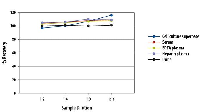 Human IL-6 ELISA Linearity