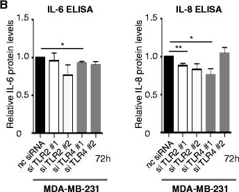 Detection of Human Human IL-8/CXCL8 Quantikine ELISA Kit by ELISA