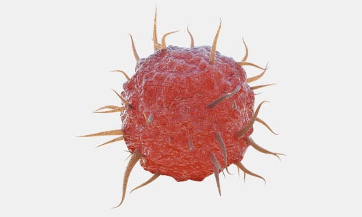 R&D Systems macrophage