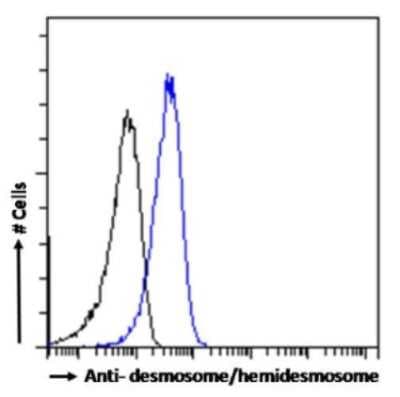 Flow Cytometry: desmosome/hemidesmosome Antibody (F12) - Chimeric - Azide and BSA Free [NBP3-09014]