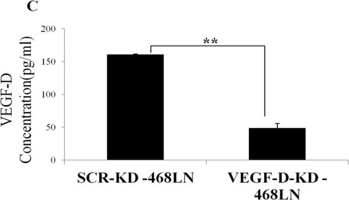 Human VEGF-D Quantikine ELISA Kit