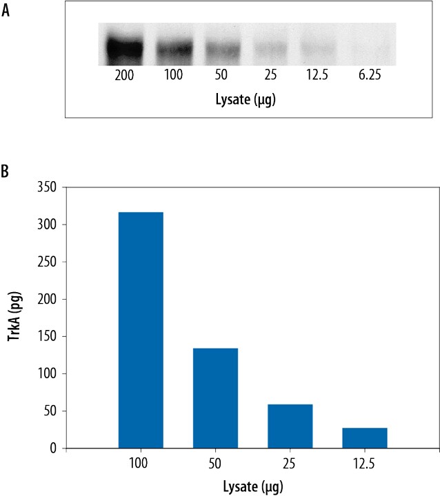 The Human Total TrkA DuoSet® IC ELISA is more sensitive than immunoprecipitation (IP)-Western blot analysis.