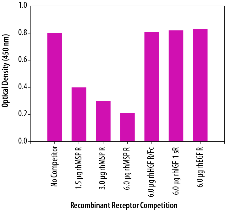 The specificity of the Human Phospho-MSP R/Ron DuoSet® IC ELISA is confirmed by receptor competition.
