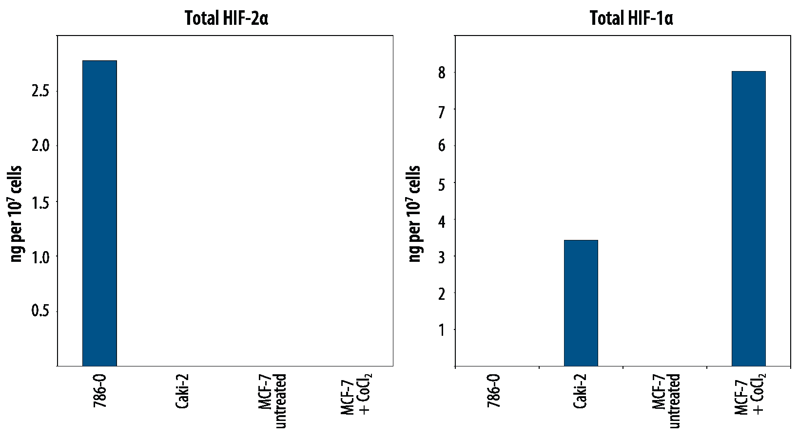 Total HIF-1 alpha  Detection in 786-O, Caki-2, and MCF-7 Cell Lysate.