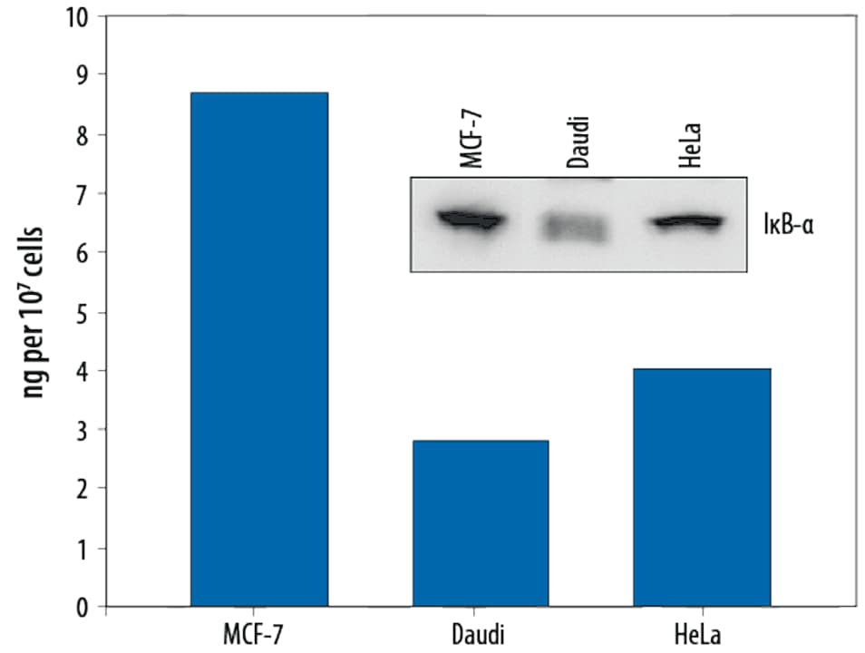 Quantification of total I kappa B-alpha human cell lysates.