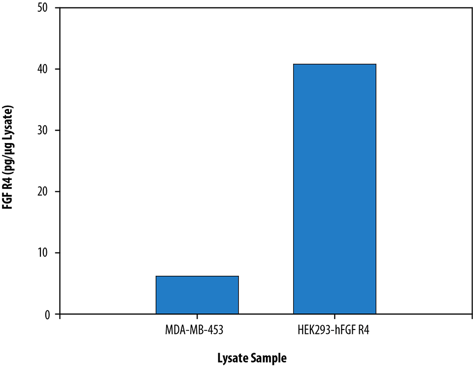 The Human Total FGF R4 DuoSet® IC ELISA measures the relative level of FGF R4.