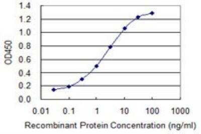 ELISA: eIF4G1 Antibody (3A10) [H00001981-M01]