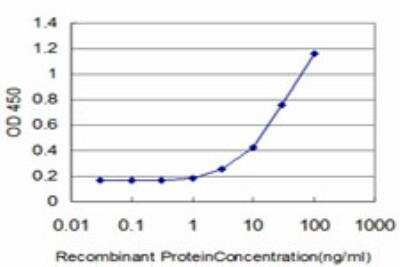 ELISA: eIF4GII Antibody (1H5) [H00008672-M03]