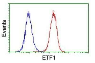 Flow Cytometry: eRF1 Antibody (OTI2E3) - Azide and BSA Free [NBP2-70692]