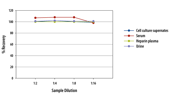 Human ADAM12 ELISA Linearity