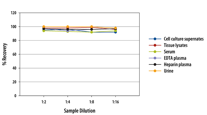 Rat Total Adiponectin/Acrp30 ELISA Linearity