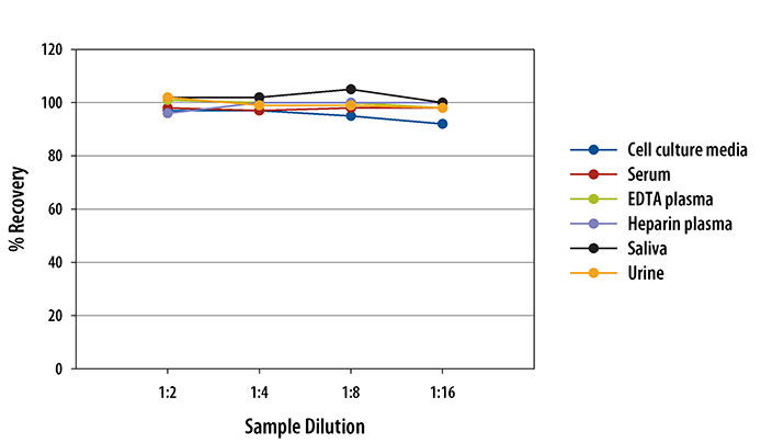 Human C1q R1/CD93 ELISA Linearity