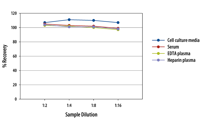 Human CCL17/TARC ELISA Linearity