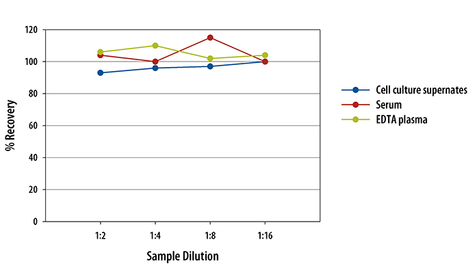 Mouse CCL17/TARC ELISA Linearity