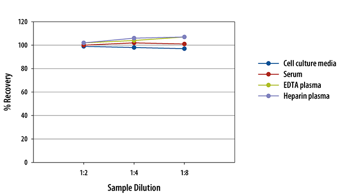 Human CCL22/MDC ELISA Linearity