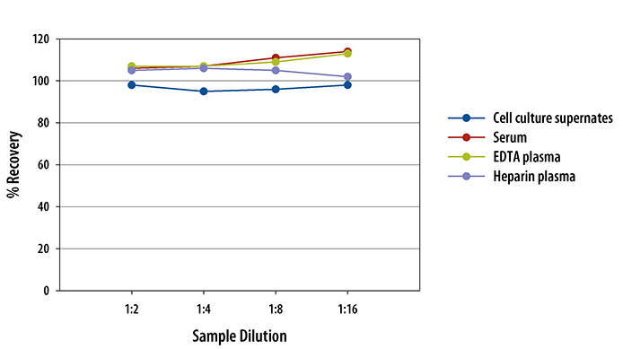 Mouse CCL22/MDC ELISA Linearity