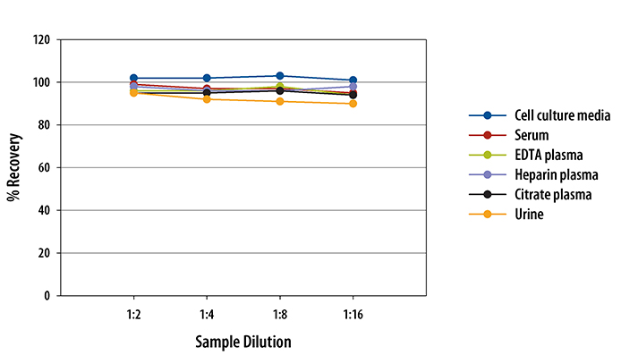 Human MCP-1 ELISA/CCL2 ELISA Linearity