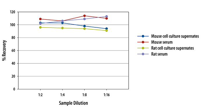Mouse/Rat CCL2/JE/MCP-1 ELISA Linearity