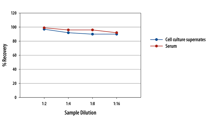 Mouse CCL3/MIP-1 alpha ELISA Linearity