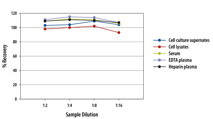 Mouse CD40/TNFRSF5 ELISA Linearity