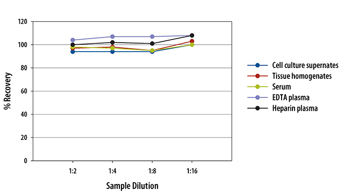 Mouse CX3CL1/Fractalkine ELISA Linearity