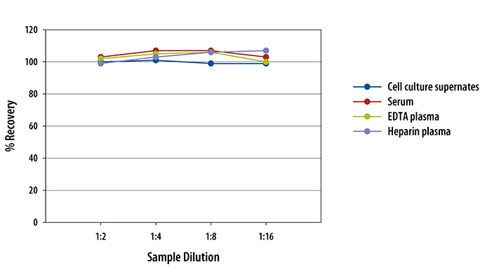 Human CXCL16 ELISA Linearity