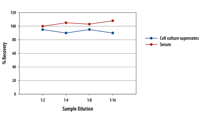 Mouse CXCL1/GRO alpha/KC/CINC-1 ELISA Linearity