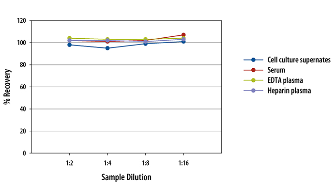 Rat CXCL2/GRO beta/MIP-2/CINC-3 ELISA Linearity