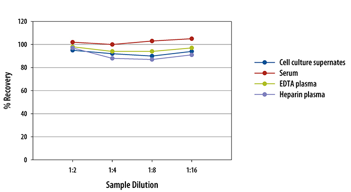 Rat CXCL3/GRO gamma/CINC-2/DCIP-1 ELISA Linearity