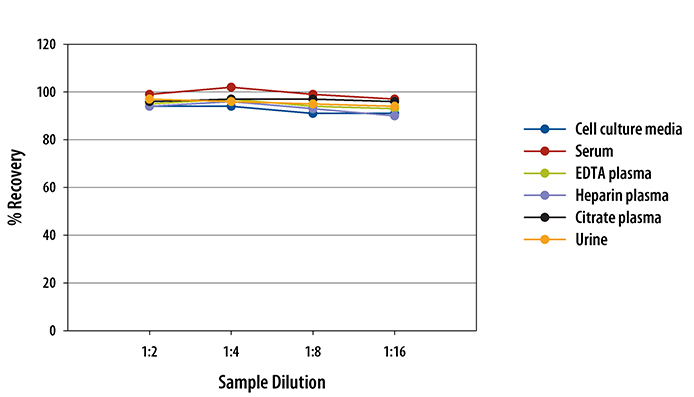 Human Carbonic Anhydrase IX/CA9 ELISA Linearity