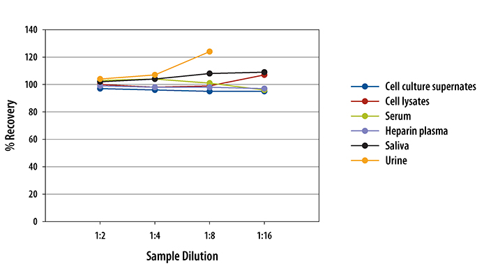 Human Pro-Cathepsin B ELISA Linearity