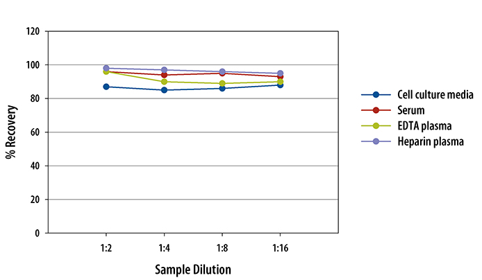Human Chemerin ELISA Linearity