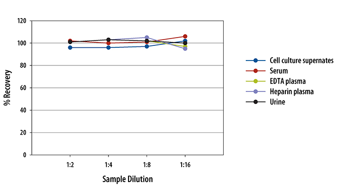 Human Chitinase 3-like 1 ELISA Linearity