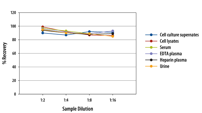 Mouse Clusterin ELISA Linearity