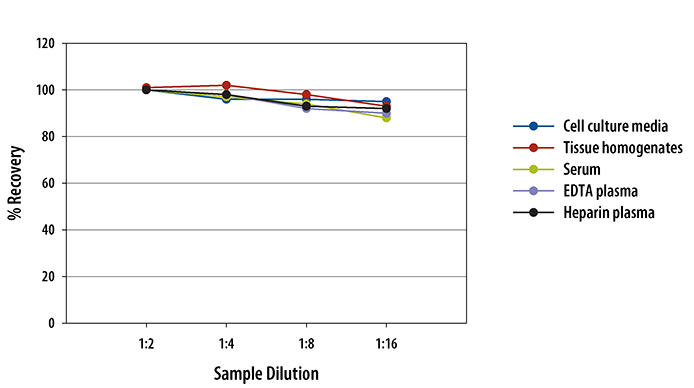Human Corin ELISA Linearity