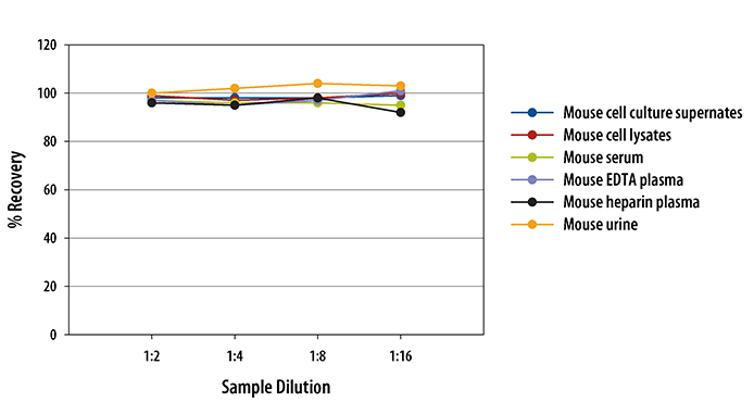 Mouse/Rat Cystatin C ELISA Linearity