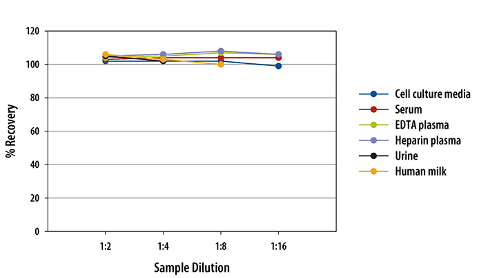 Human DLL1 ELISA Linearity