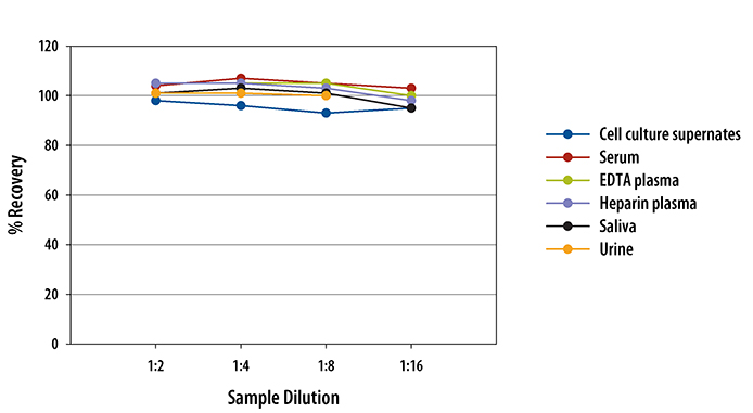 Human DPPIV/CD26 ELISA Linearity