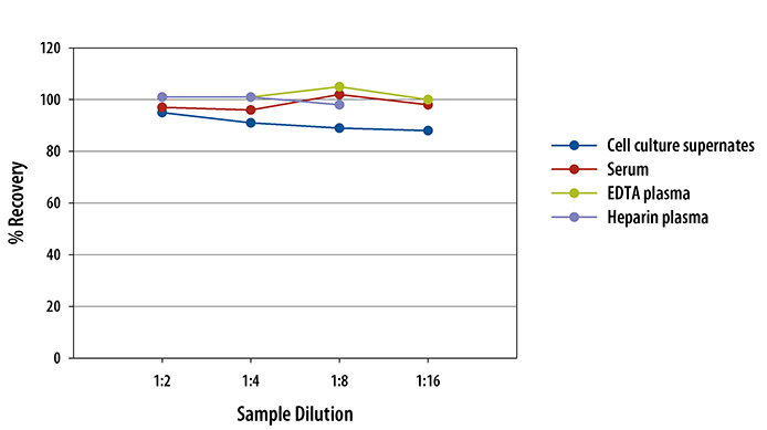 Mouse Dkk-1 ELISA Linearity