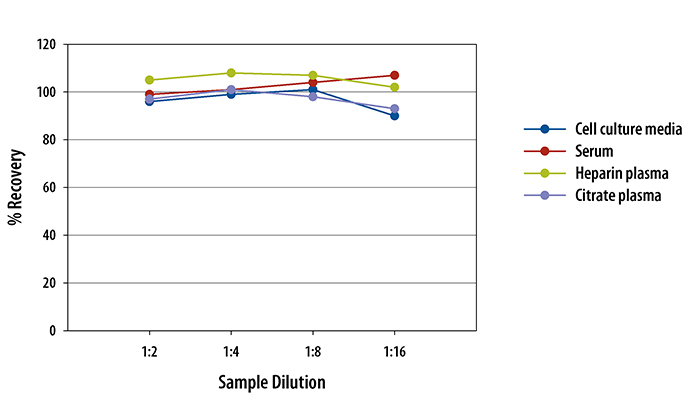 Human E-Selectin/CD62E ELISA Linearity