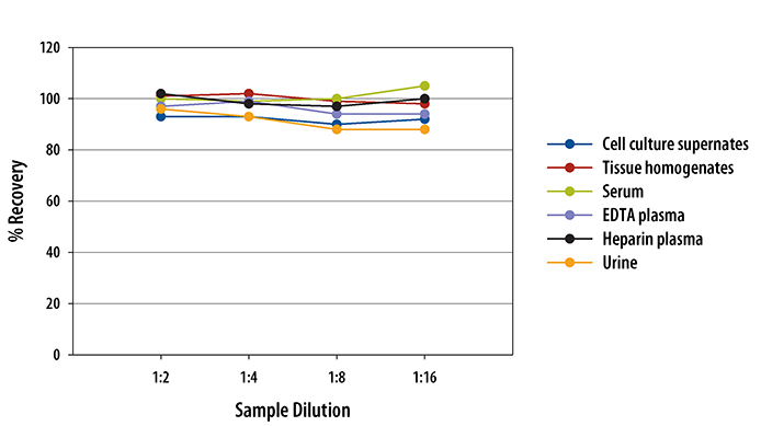Mouse EGF ELISA Linearity