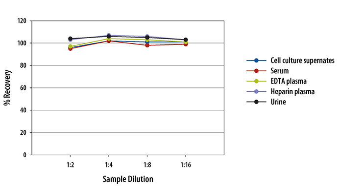 Multi-species Endothelin-1 ELISA Linearity