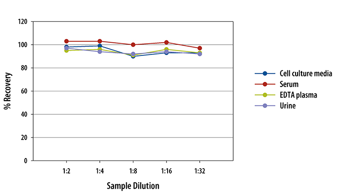 Human Endothelin-1 Chemiluminescent ELISA Linearity